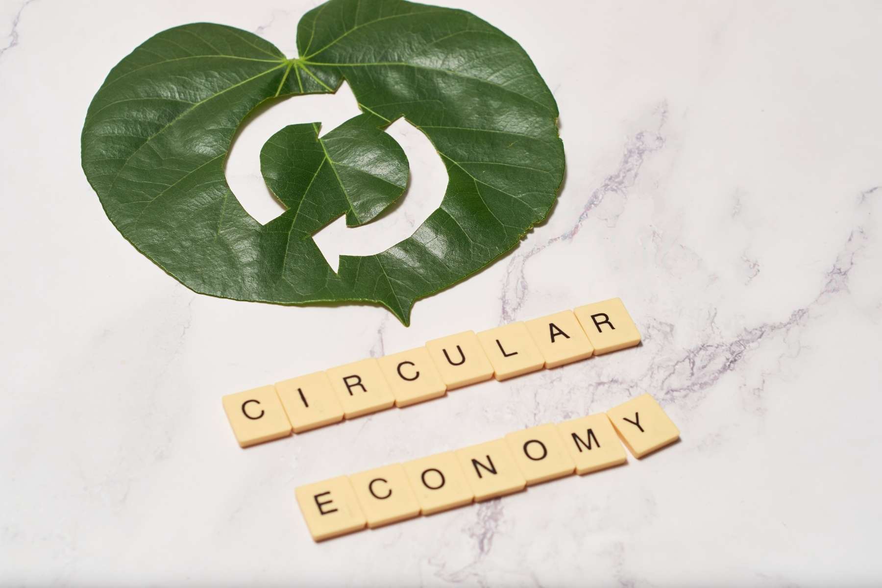 Auf einem hellen marmorierten Tisch liegt ein Pflanzenblatt, in den ein Kreislauf eingestanzt ist, während darunter die Worte Circular Economy stehen.