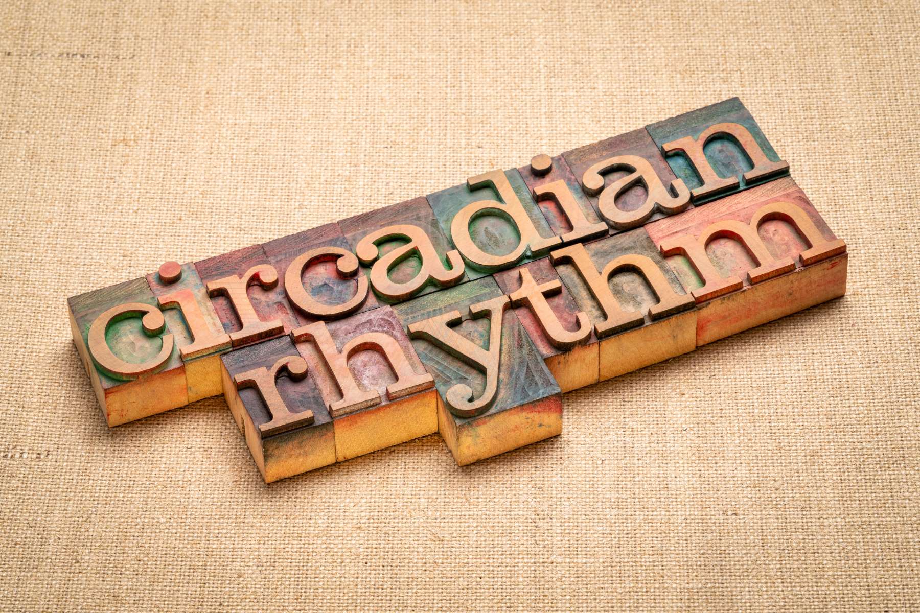Bunter Schriftzug aus Holz mit den Wörtern circadian rhythm.