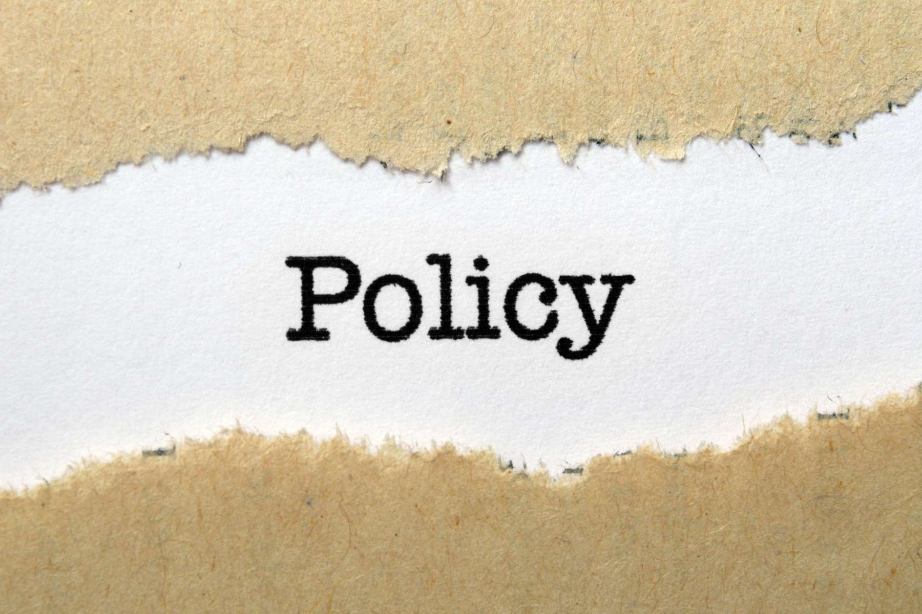 Das Wort Policy steht in schwarzer Schrift auf weißem Hintergrund.