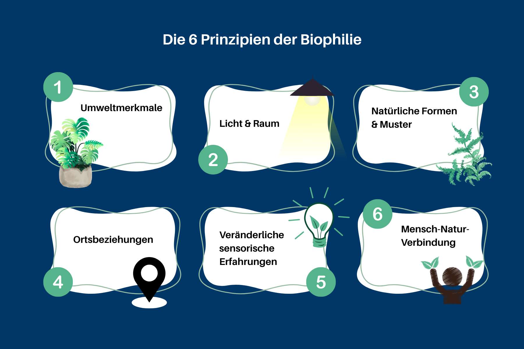 Schematische Darstellung der 6 Prinzipien der Biophilie.
